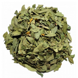 Feuilles de séné (sana makki)